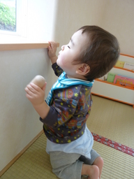 P1060073.JPG