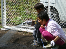 P1060538.JPG